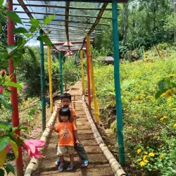 Curup Waterfall - Bengkulu