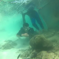 Pulau Tikus Beach - Bengkulu