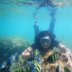 Pulau Tikus Beach - Bengkulu