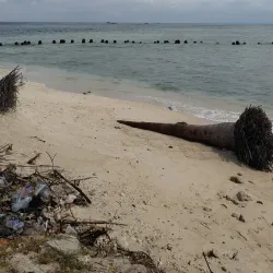 Pulau Tikus Beach - Bengkulu