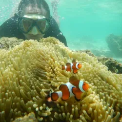 Pulau Tikus Beach - Bengkulu
