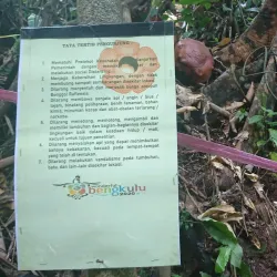 Rafflesia Arnoldii Habitat - Bengkulu