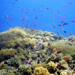 Bunaken National Marine Park - Bitung