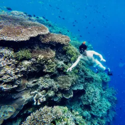 Taman Laut Bunaken (Bunaken Marine Park Visitor Center) - Bitung