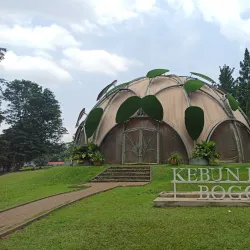 Bogor Botanical Gardens (Kebun Raya Bogor) - Bogor