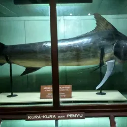 Bogor Zoological Museum - Bogor