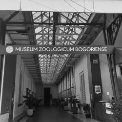 Bogor Zoological Museum - Bogor