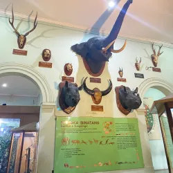 Bogor Zoological Museum - Bogor