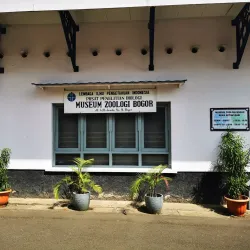 Bogor Zoological Museum - Bogor