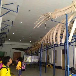 Bogor Zoological Museum - Bogor