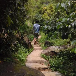 Gunung Pancar - Bogor