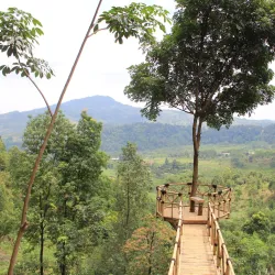 Gunung Pancar - Bogor