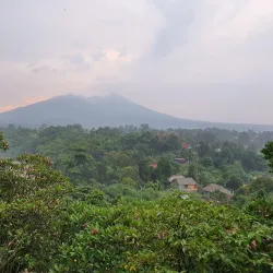 Istana Batu Tulis - Bogor