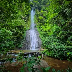 Taman Safari Indonesia - Bogor