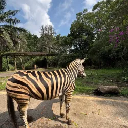 Taman Safari Indonesia - Bogor