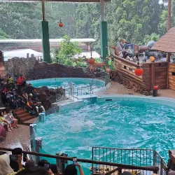 Taman Safari Indonesia - Bogor