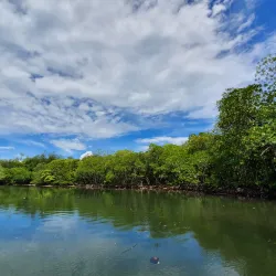 Pulau Sangiang - Cilegon
