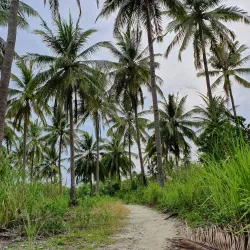 Pulau Sangiang - Cilegon