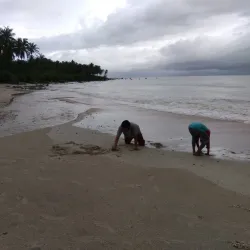 Taman Wisata Alam Ujung Kulon (Ujung Kulon National Park) - Cilegon
