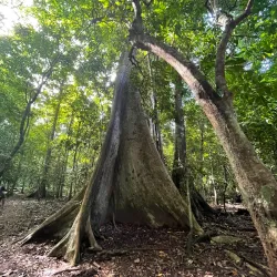 Taman Wisata Alam Ujung Kulon (Ujung Kulon National Park) - Cilegon