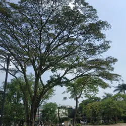 Alun-Alun Cimahi - Cimahi