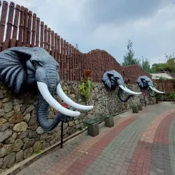 Cimahi Zoo (Taman Satwa Cimahi) - Cimahi