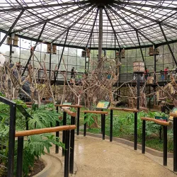 Cimahi Zoo (Taman Satwa Cimahi) - Cimahi