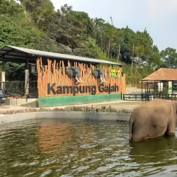 Cimahi Zoo (Taman Satwa Cimahi) - Cimahi