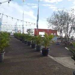 Kerang Beureum Beach - Cirebon