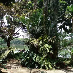 Setu Pengasinan - Depok