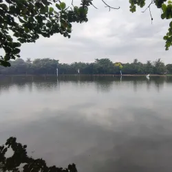 Setu Pengasinan - Depok