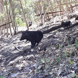 Muru Keba Waterfall - Ende