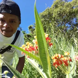 Muru Keba Waterfall - Ende