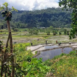 Muru Keba Waterfall - Ende