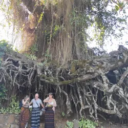 Wologai Traditional Village - Ende