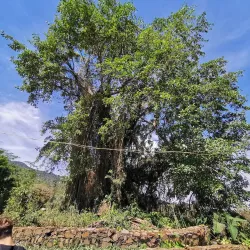 Wologai Traditional Village - Ende