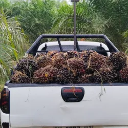 Petrokimia Gresik Industrial Area - Gresik