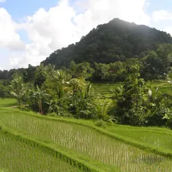 Pulau Bawean (Bawean Island) - Gresik