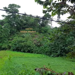 Pulau Bawean (Bawean Island) - Gresik