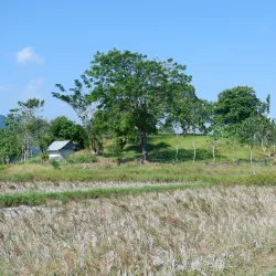 Pulau Bawean (Bawean Island) - Gresik