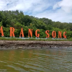 Mangrove Forest Karangsong - Indramayu