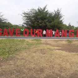 Mangrove Forest Karangsong - Indramayu