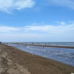 Mangrove Forest Karangsong - Indramayu