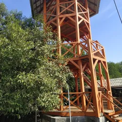 Mangrove Forest Karangsong - Indramayu