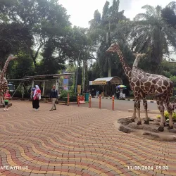 Ragunan Zoo - Jakarta