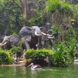Ragunan Zoo - Jakarta