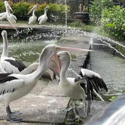 Ragunan Zoo - Jakarta