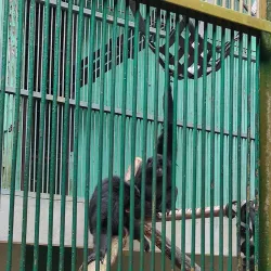 Ragunan Zoo - Jakarta