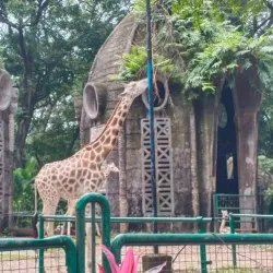 Ragunan Zoo - Jakarta