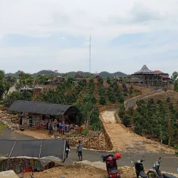 Bukit Dewa - Jambi